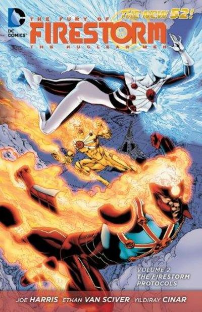 Image for The Fury of Firestorm: The Nuclear Men Vol. 2: The Firestorm Protocols (The New 52)