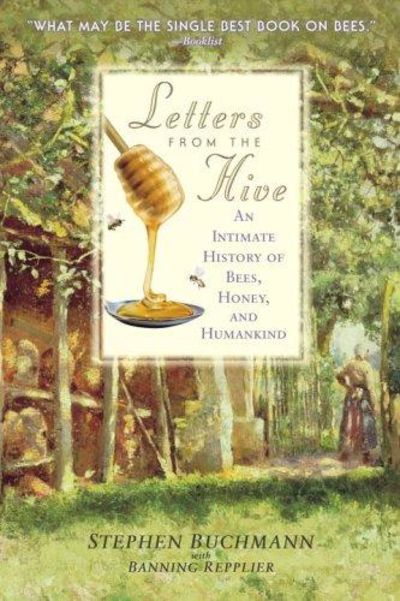 Image for Letters From The Hive: An Intimate History Of Bees, Honey, And Humankind