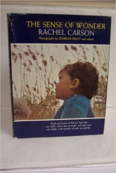 Image for The Sense of Wonder