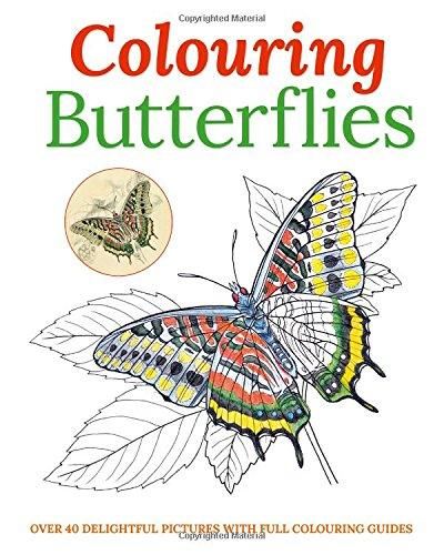 Colouring Butterflies Image for Colouring Butterflies