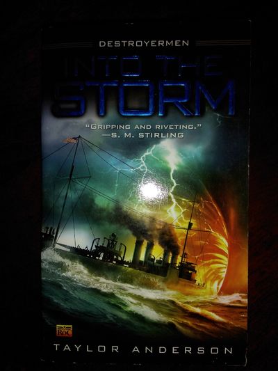 Image for Into the Storm
