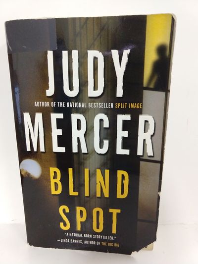 Image for Blind Spot