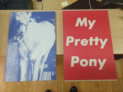 Image for My Pretty Pony