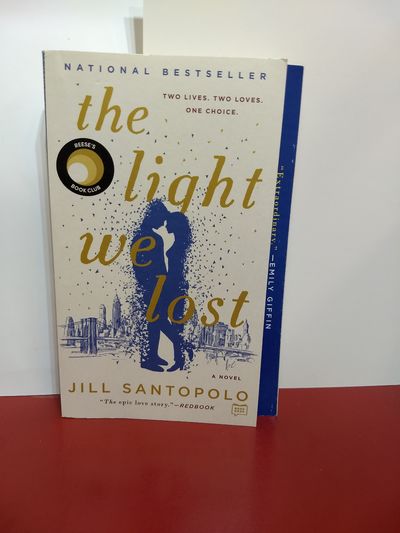 Image for The Light We Lost