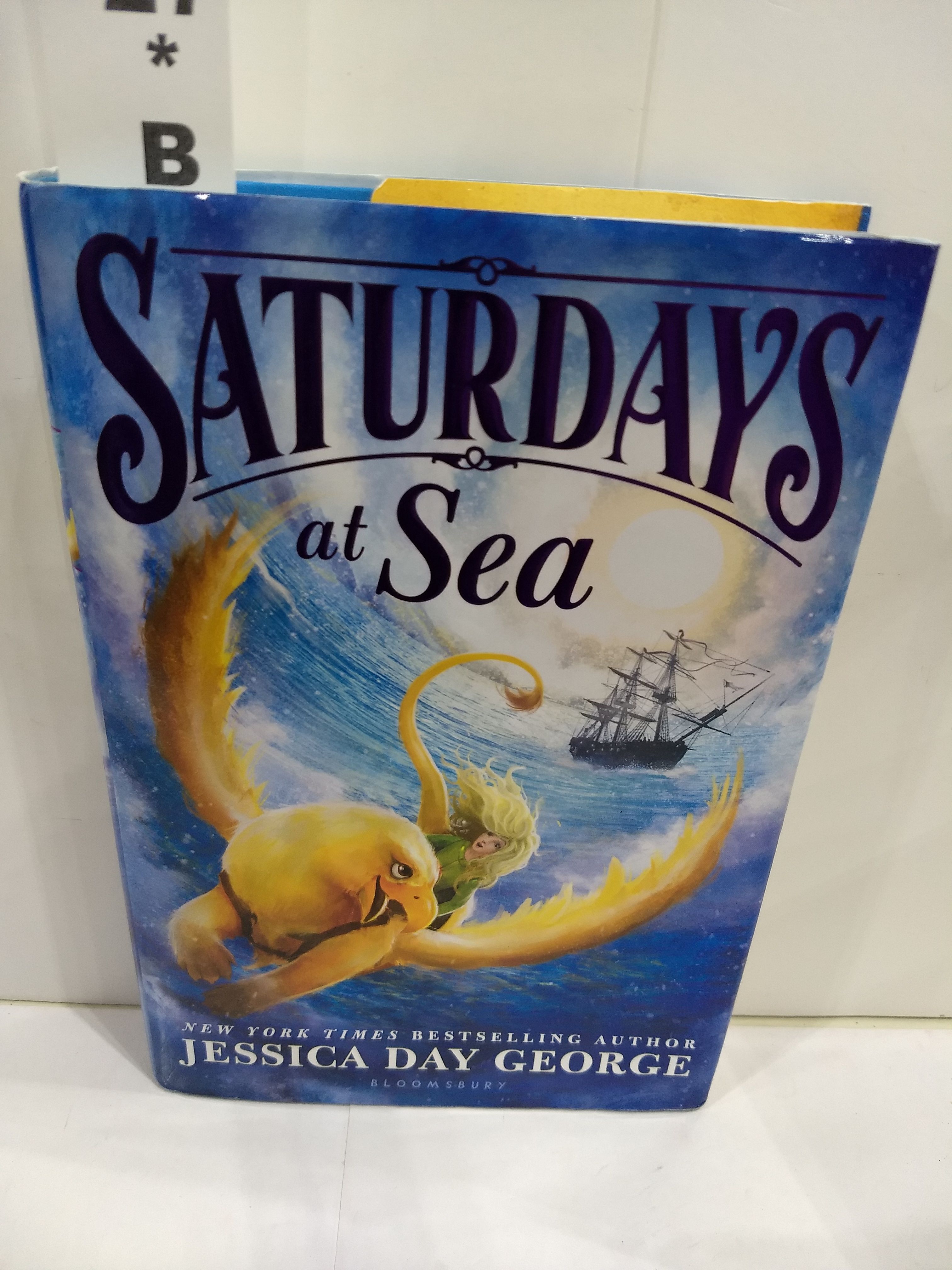 Image for Saturdays at Sea